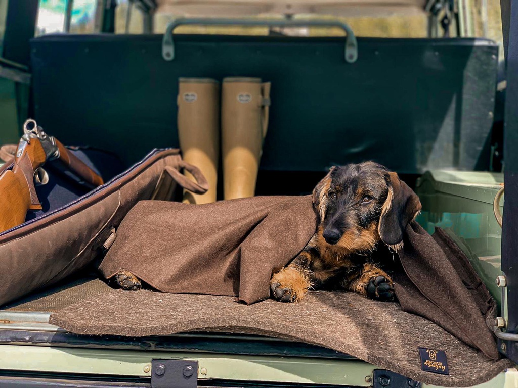 Dog Bed with Loden Blanket